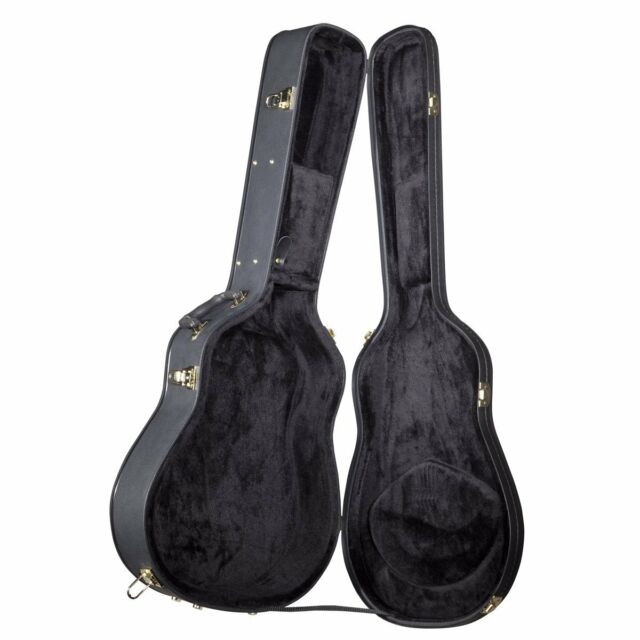 Acoustic guitar case