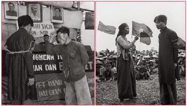 Khi nào ta được như chuột Jerry ?