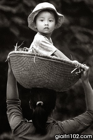 Những người Trung Quốc khốn khổ